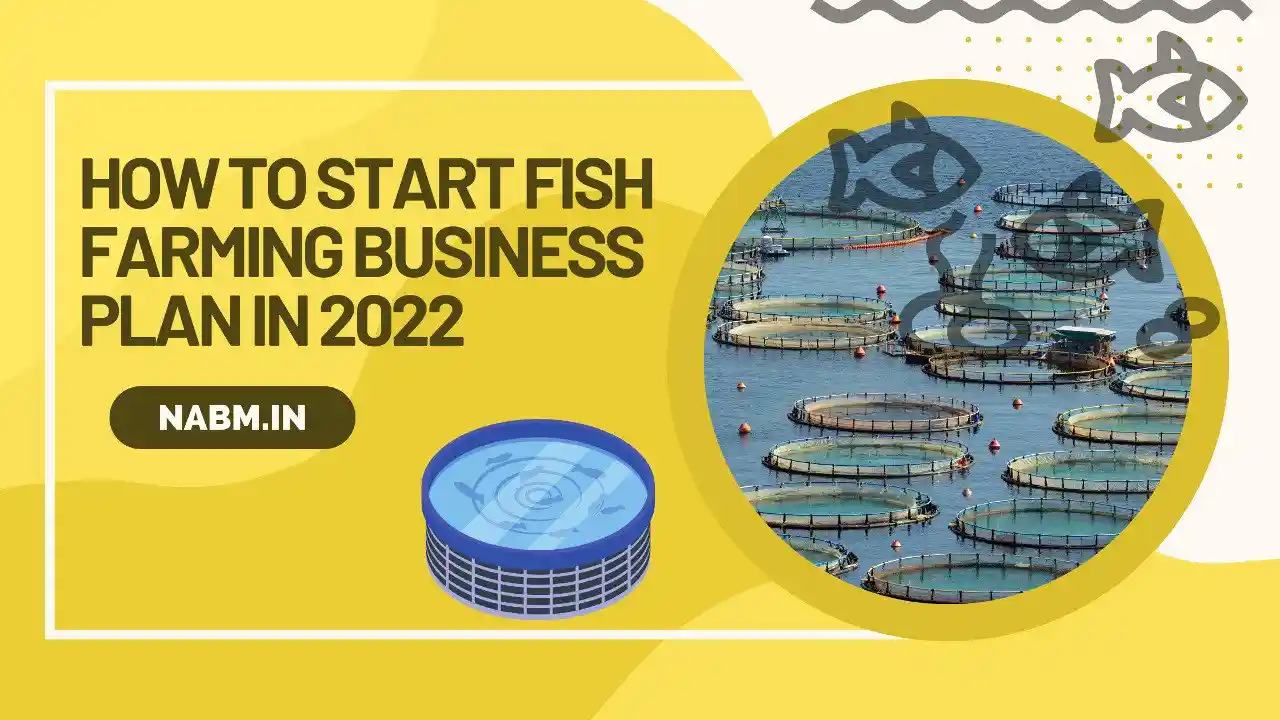 How to Start Fish Farming Business Plan in 2022