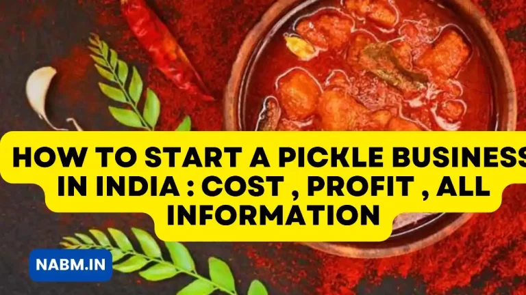 How To Start A Pickle Business In India : Cost , Profit , All Information